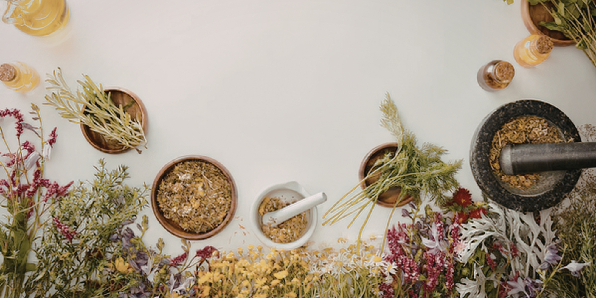 Understanding Botanical Skincare: The Science Behind Nature's Most Powerful Ingredients