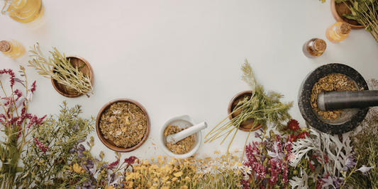 Understanding Botanical Skincare: The Science Behind Nature's Most Powerful Ingredients